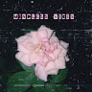 Meet your Posher, Sylvester